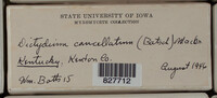 Image Associated With the Occurence